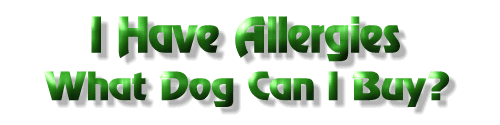 Allergies and what dog to buy