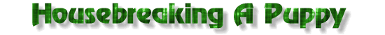 Housebreaking your dog