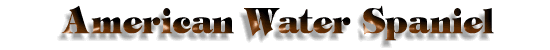 American Water Spaniel title