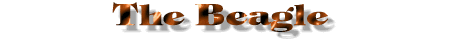 Beagle dog title