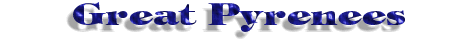Great Pyrenees title