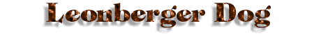 Leonberger dog title