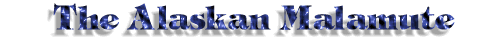 Alaskan Malamute Title