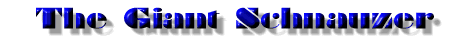 Giant Schnauzer Title