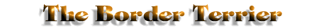 Border Terrier Title