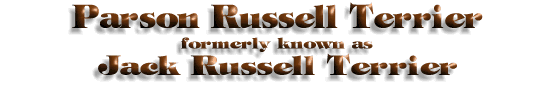 Parson Russell Terrier Title