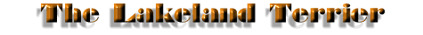 Lakeland Terrier Title