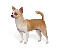 Pictures of both varieties