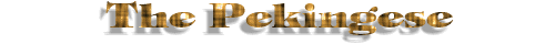 Pekingese Title