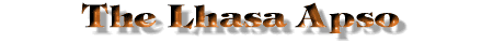 Lhasa Apso Title