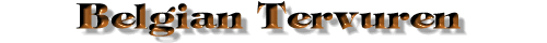 Title: Belgian Tervurens, or Tervurens