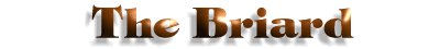 Briard title