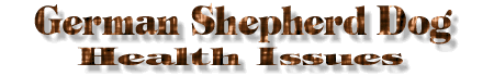 German Shepher Dog Health Issues