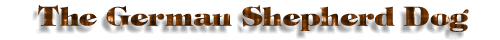German Shepherd title